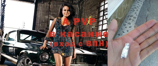спиды Богданович
