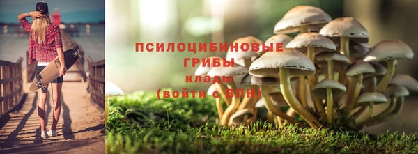 скорость Богородск