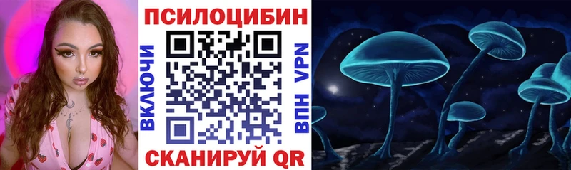 Галлюциногенные грибы Psilocybe  Прокопьевск 